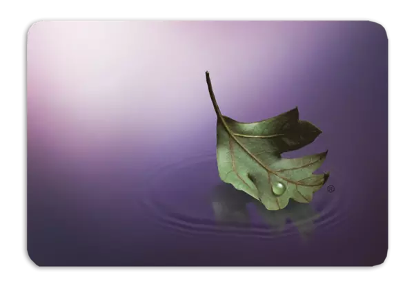 Tear drop on green leaf with purple background.
